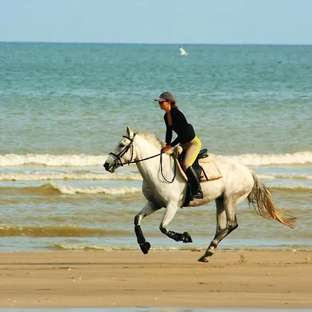 Holiday home A Sur Avec Jardin De 20 M² *