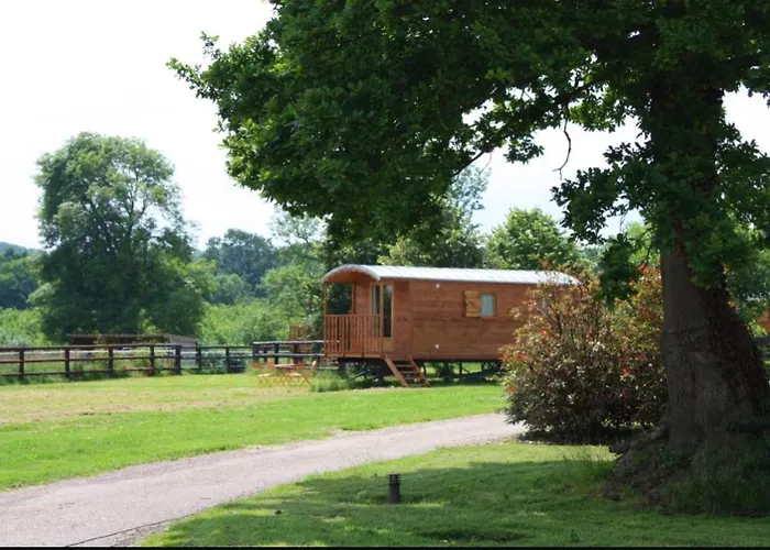 A Sur Avec Jardin De 20 M²