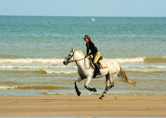 Casa vacanze à Sur Avec Jardin De 20 M² *